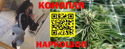 шишки Усть-Илимск