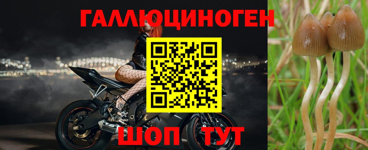 Псилоцибиновые грибы Magic Shrooms Миллерово