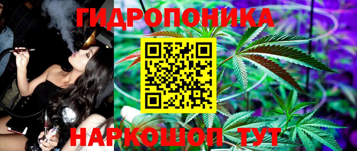 Миллерово  Конопля индика  Бошки марихуана планчик  Вход с VPN 